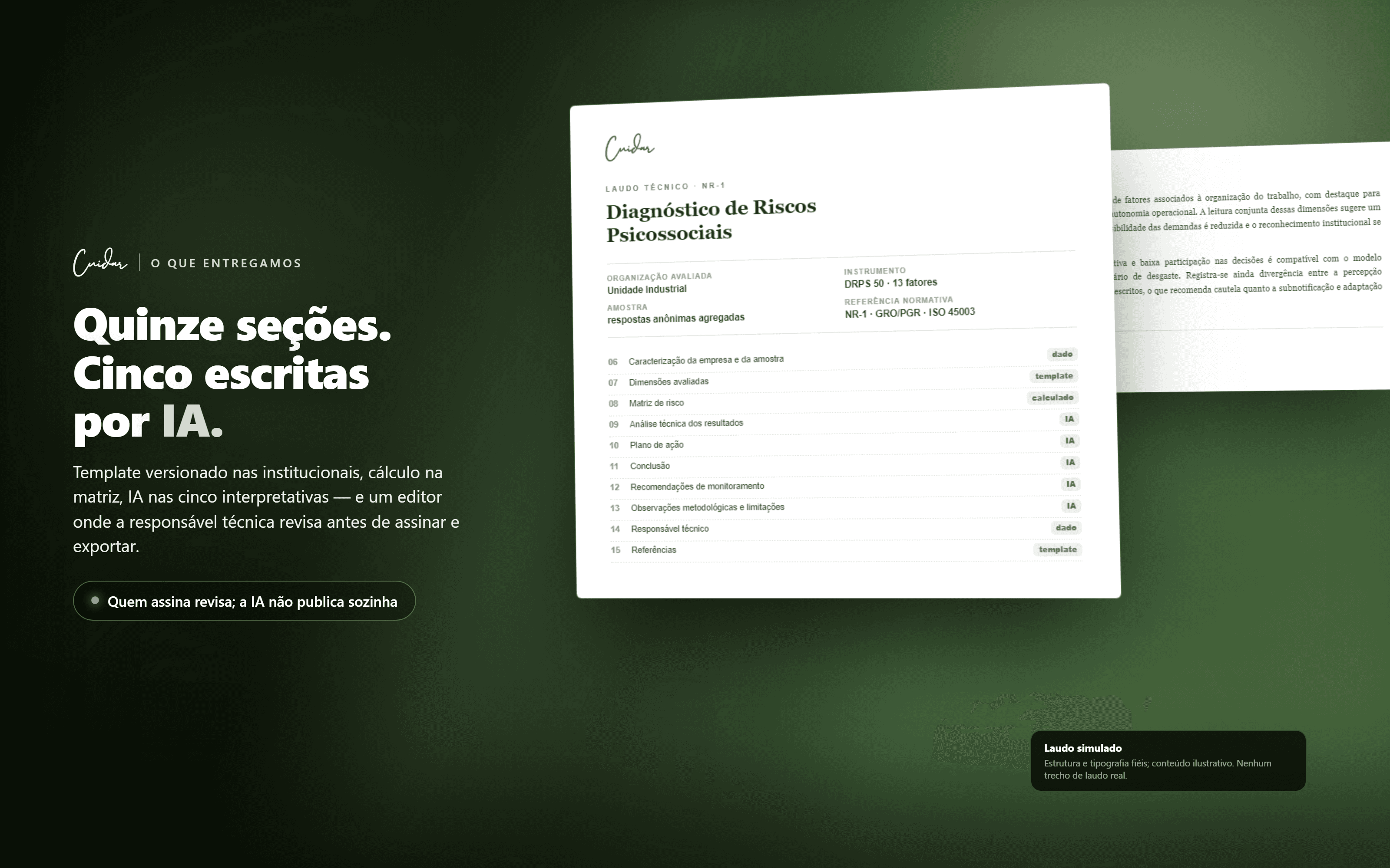 O laudo de 15 seções, com cinco escritas por IA
