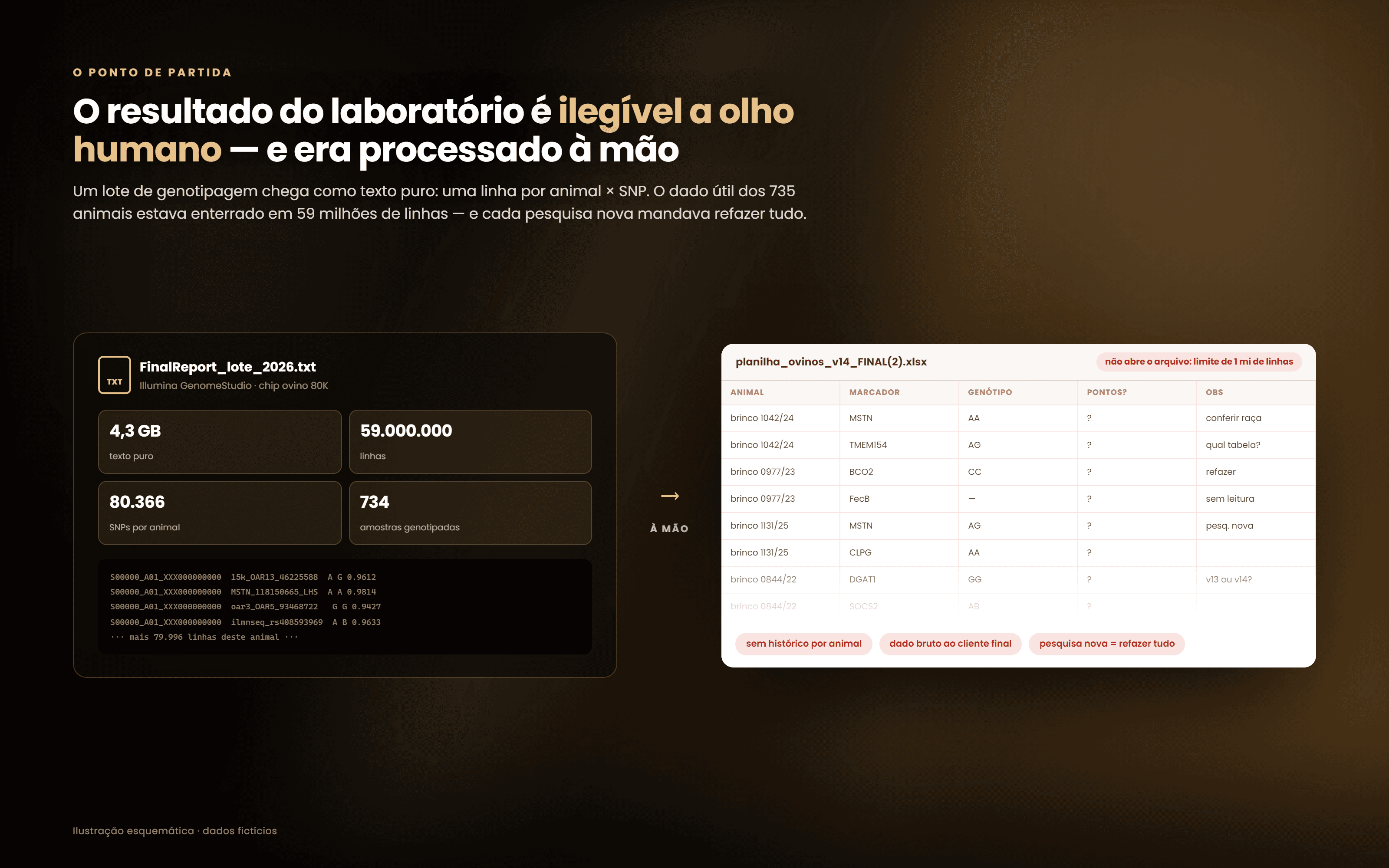 O que chegava do laboratório: 59 milhões de linhas, processadas à mão